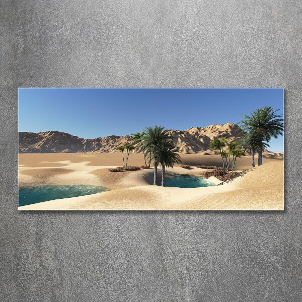 Cuadro metacrilato horizontal Oasis