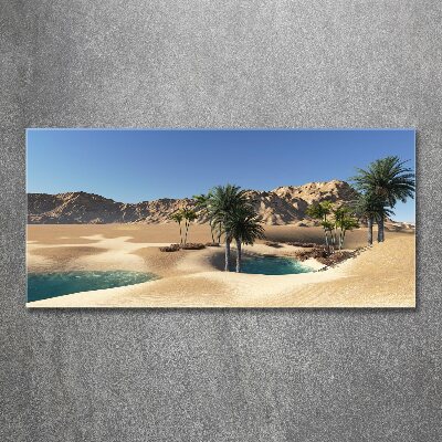 Cuadro metacrilato horizontal Oasis