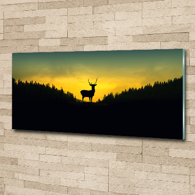 Foto en metacrilato horizontal Ciervo