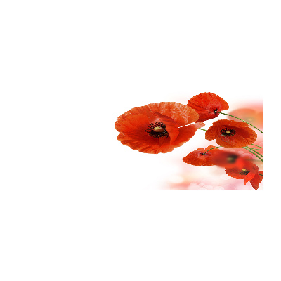 Cuadro metacrilato horizontal Amapolas