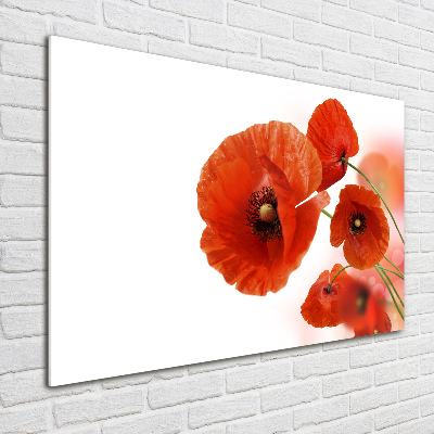Cuadro metacrilato horizontal Amapolas
