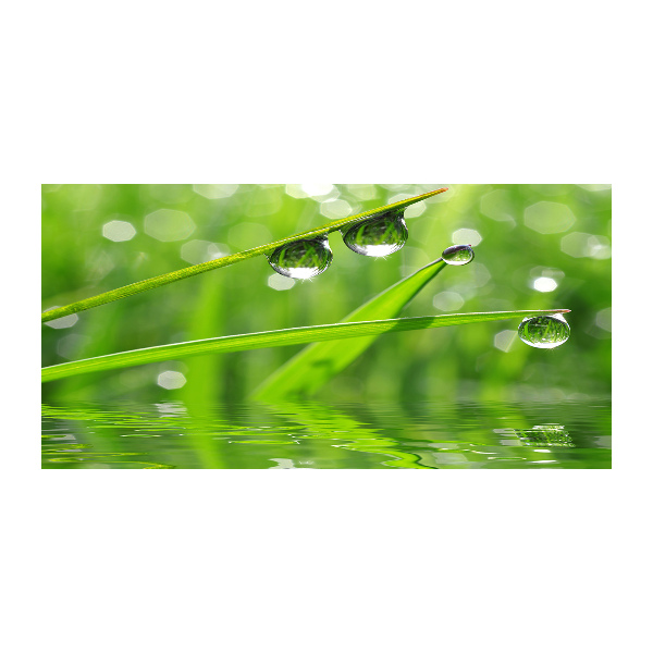 Foto en metacrilato horizontal Gotas sobre la hierba
