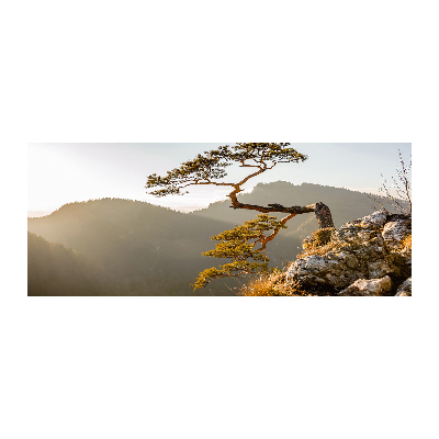 Foto obraz szkło akryl Sokolica Pieniny