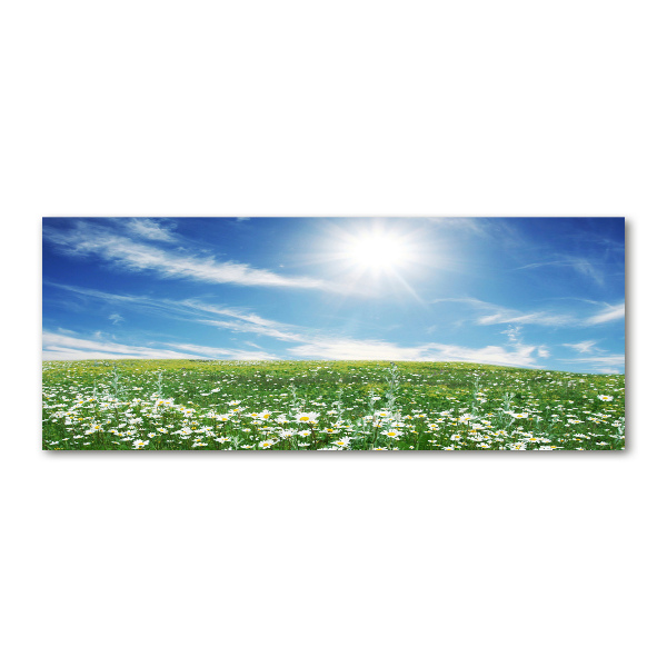 Foto en metacrilato horizontal Prado