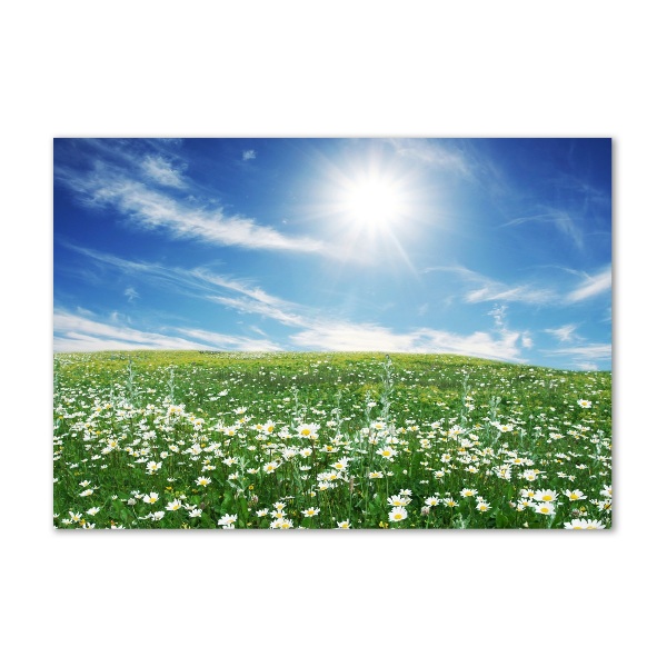 Foto en metacrilato horizontal Prado