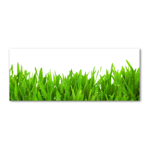 Pintura en acrílico horizontal Césped