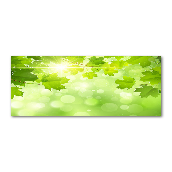 Foto en metacrilato horizontal hojas de castaño de Indias
