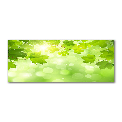 Foto en metacrilato horizontal hojas de castaño de Indias