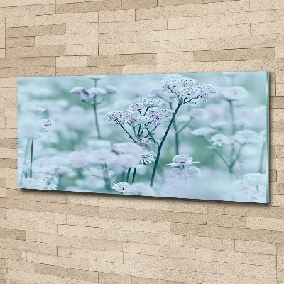 Obraz zdjęcie akryl Jarzmianka większa