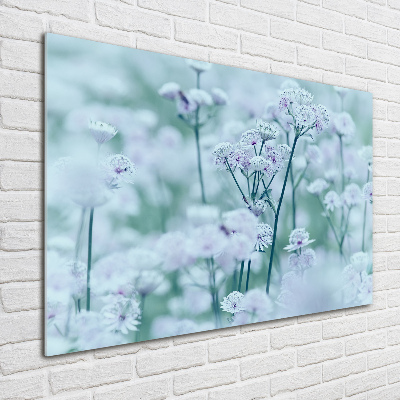 Obraz zdjęcie akryl Jarzmianka większa