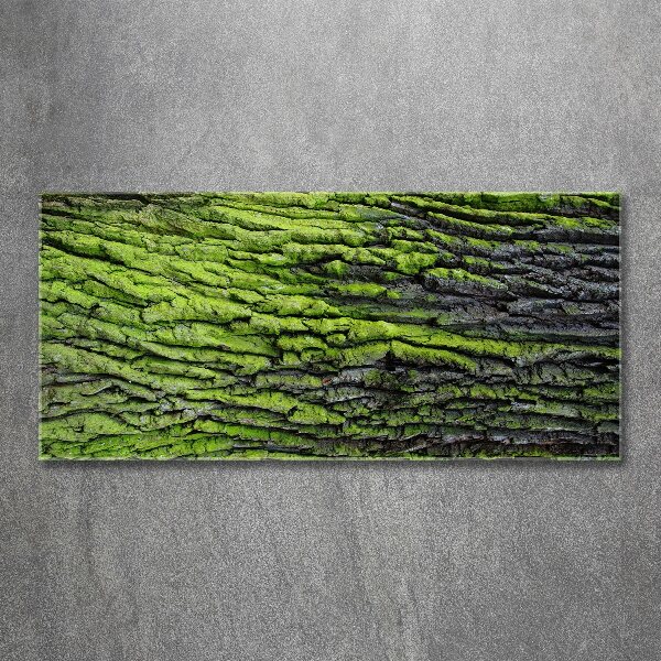 Foto en metacrilato horizontal corteza de árbol