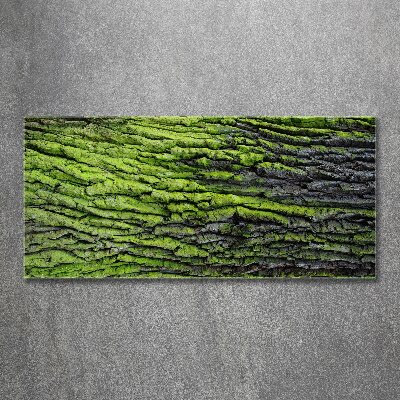 Foto en metacrilato horizontal corteza de árbol