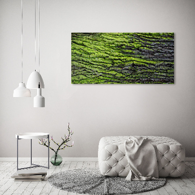 Foto en metacrilato horizontal corteza de árbol