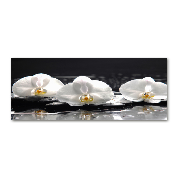 Pintura en acrílico horizontal Orquídea