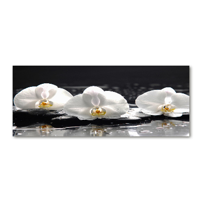 Pintura en acrílico horizontal Orquídea