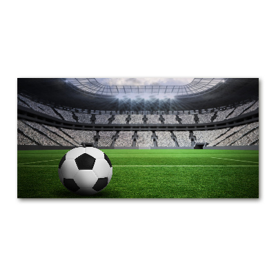 Foto en metacrilato horizontal Pelota en el estadio