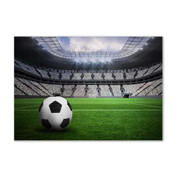 Foto en metacrilato horizontal Pelota en el estadio