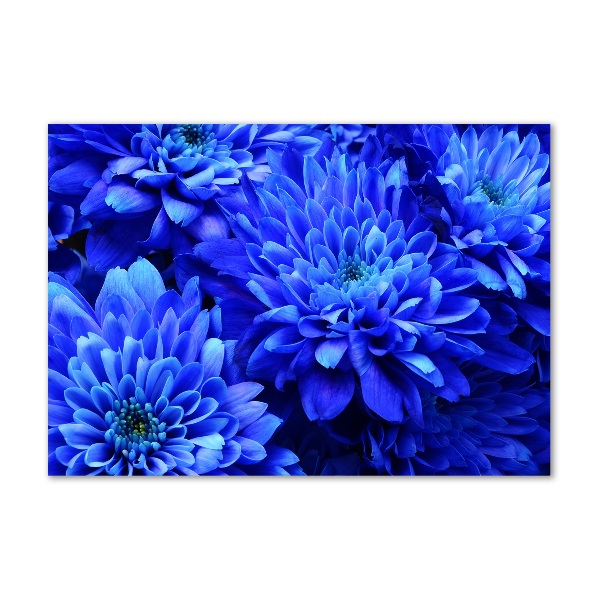 Cuadro metacrilato horizontal Aster azul