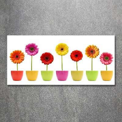 Foto en metacrilato horizontal Gerberas de colores