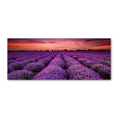 Pintura en acrílico horizontal campo de lavanda