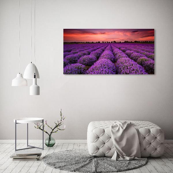 Pintura en acrílico horizontal campo de lavanda