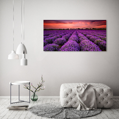 Pintura en acrílico horizontal campo de lavanda