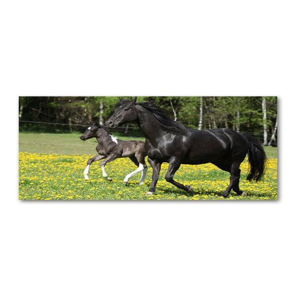 Foto en metacrilato horizontal Yegua con potro