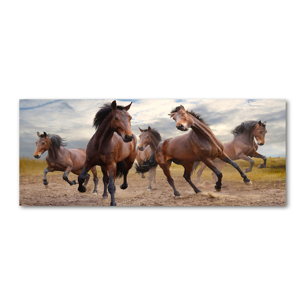 Cuadro acrílico horizontal Cinco caballos
