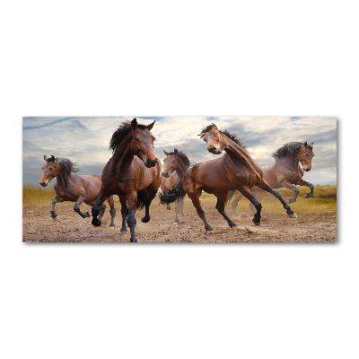 Cuadro acrílico horizontal Cinco caballos