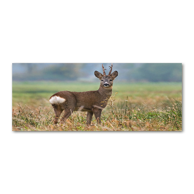 Pintura en acrílico horizontal Hueva