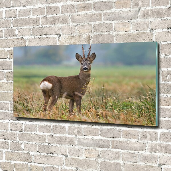 Pintura en acrílico horizontal Hueva