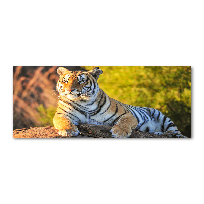 Cuadro metacrilato horizontal Retrato de un tigre