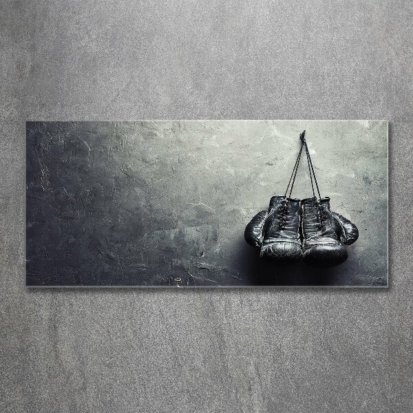 Foto en metacrilato horizontal Guantes de boxeo