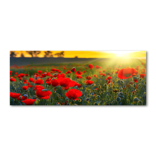 Cuadro acrílico horizontal Campo de amapolas