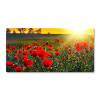Cuadro acrílico horizontal Campo de amapolas