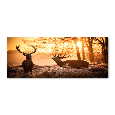 Foto en metacrilato horizontal Amanecer de ciervos