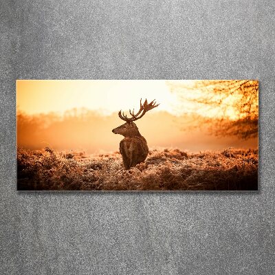 Cuadro acrílico horizontal Amanecer de ciervos