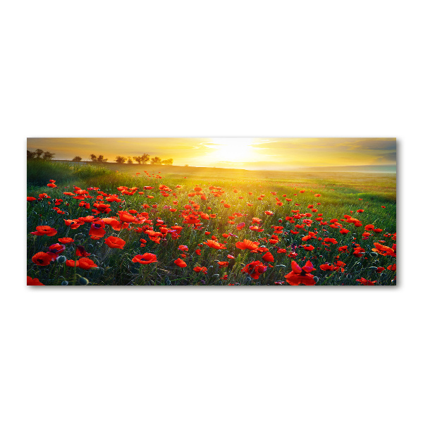 Cuadro acrílico horizontal Campo de amapolas