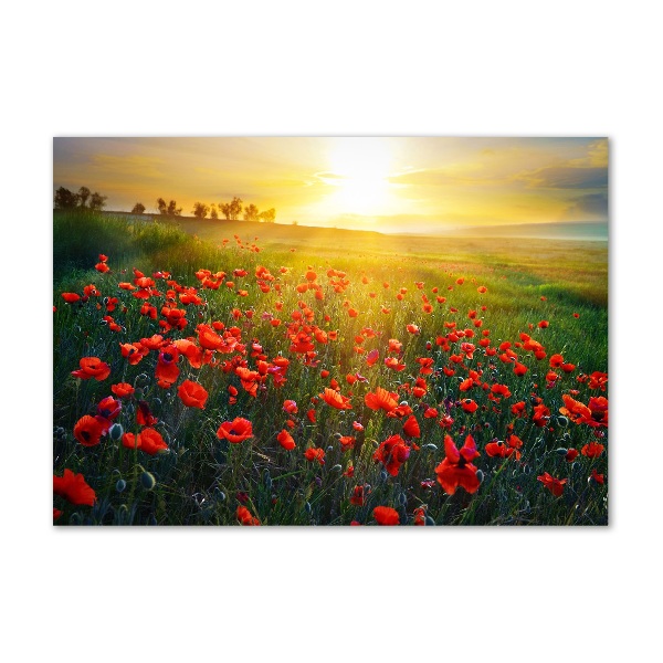 Cuadro acrílico horizontal Campo de amapolas