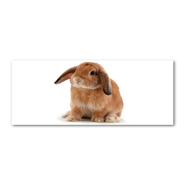 Pintura en acrílico horizontal conejo rojo