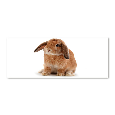 Pintura en acrílico horizontal conejo rojo