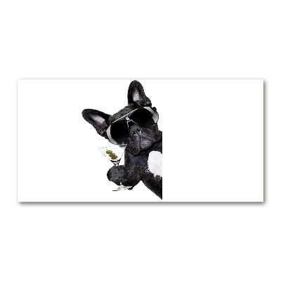 Cuadro metacrilato horizontal Perro Martini