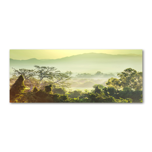 Cuadro metacrilato horizontal Selva