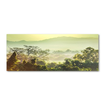Cuadro metacrilato horizontal Selva