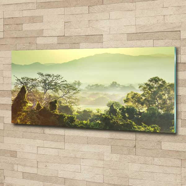 Cuadro metacrilato horizontal Selva