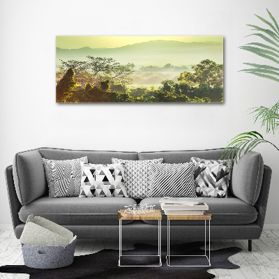 Cuadro metacrilato horizontal Selva