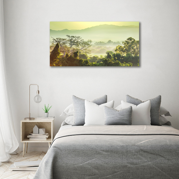 Cuadro metacrilato horizontal Selva