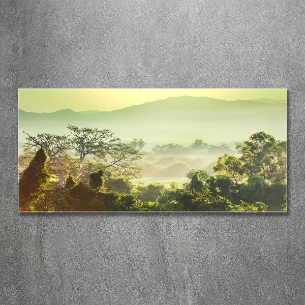 Cuadro metacrilato horizontal Selva