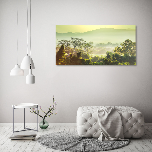 Cuadro metacrilato horizontal Selva