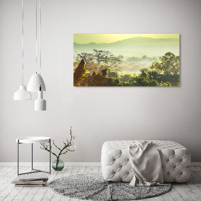 Cuadro metacrilato horizontal Selva